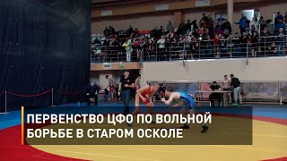 Первенство ЦФО по вольной борьбе в Старом Осколе