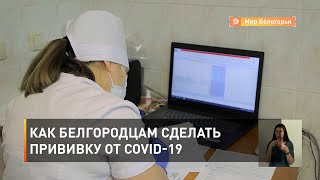 Как белгородцам сделать прививку от COVID-19 