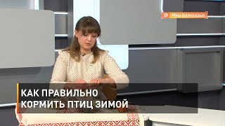 Как правильно кормить птиц зимой