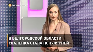 В Белгородской области удалёнка стала популярней 