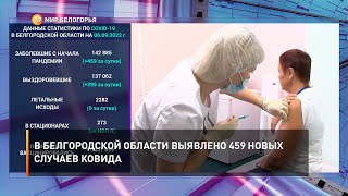 В Белгородской области выявлено 459 новых случаев ковида