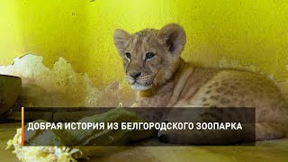 Добрая история из белгородского зоопарка