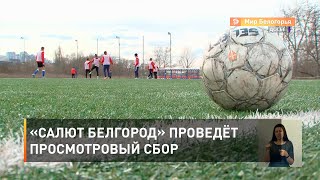 «Салют Белгород» проведёт просмотровый сбор