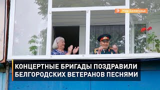 Концертные бригады поздравили белгородских ветеранов песнями