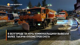 В Белгороде за ночь коммунальщики вывезли более тысячи кубометров снега