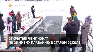Открытый чемпионат по зимнему плаванию в Старом Осколе