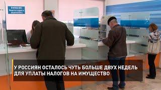 У россиян осталось чуть больше двух недель для уплаты налогов на имущество