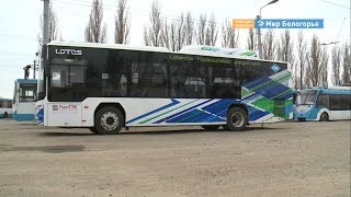 Новые автобусы на улицах Белгорода