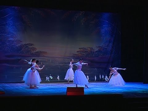 «Лебединое озеро» в БГИИК 