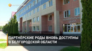 Партнёрские роды вновь доступны в Белгородской области
