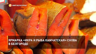 Ярмарка «Икра и рыба Камчатская» снова в Белгороде