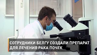 Сотрудники БелГУ создали препарат для лечения рака почек