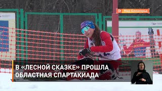 В «Лесной сказке» прошла областная спартакиада