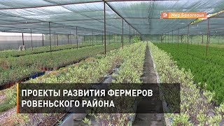 Выращивание орехов и декоративных растений в Ровеньском районе