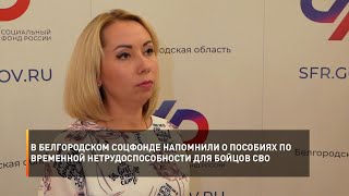 В белгородском СоцФонде напомнили о пособиях по временной нетрудоспособности для бойцов СВО