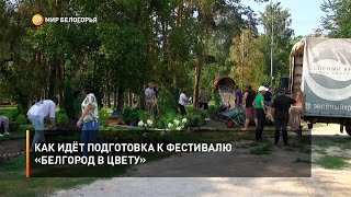 Как идёт подготовка к фестивалю «Белгород в цвету»