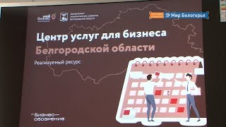 Центр услуг для бизнеса откроют в Белгороде 
