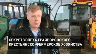 Секрет успеха грайворонского крестьянско-фермерское хозяйства