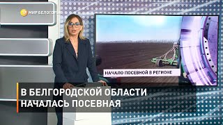 В Белгородской области началась посевная 