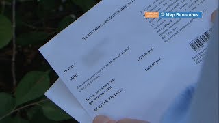 Заплатить имущественный налог нужно до 2 декабря 