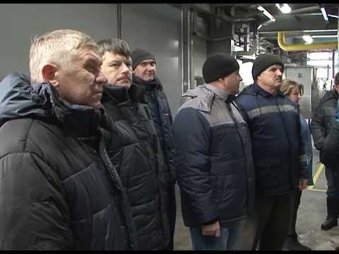 Тепличный комплекс в Чернянке