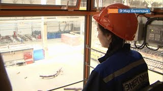 Какие сферы труда самые стабильные