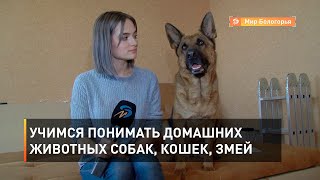 Учимся понимать домашних животных: собак, кошек, змей