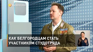 Как белгородцам стать участником студотряда 