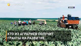 Кто из аграриев получит гранты на развитие 