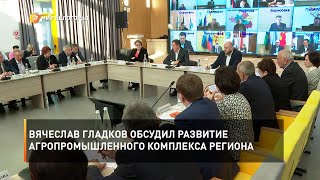 Вячеслав Гладков обсудил развитие агропромышленного комплекса Белгородской области