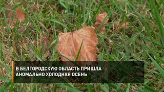 В Белгородскую область пришла аномально холодная осень