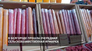В Белгороде прошла очередная сельскохозяйственная ярмарка