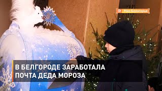 В Белгороде заработала почта Деда Мороза