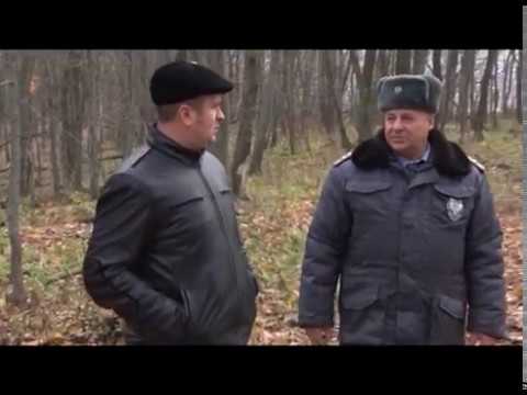 Борьба с АЧС в Белгородской области