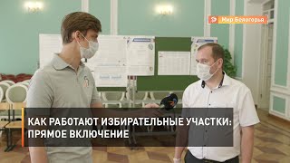 Как работают избирательные участки: прямое включение