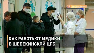 Как работают медики в Шебекинской ЦРБ