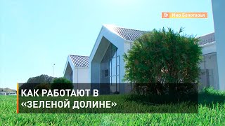 Как работают в «Зеленой долине» 