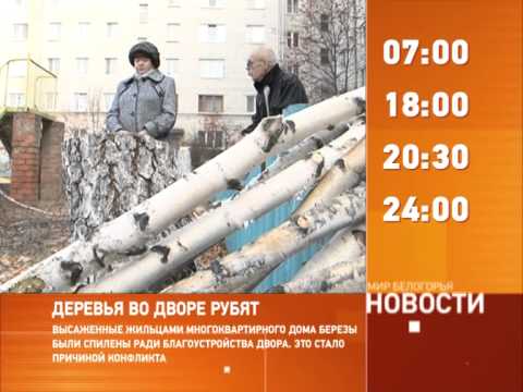 Смотрите на «Мире Белогорья» сегодня, 31 октября 