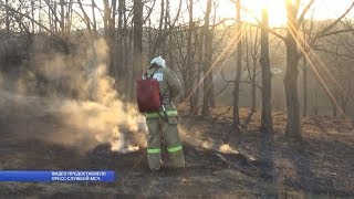 Возгорание травы в Белгородской области