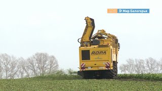 Россельхоз подвел итоги 2019 года