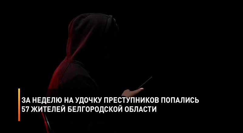 За неделю на удочку преступников попались 57 жителей Белгородской области