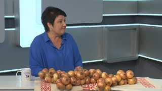 Каким будет «Стригуновское Лукоморье»