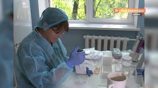 С 1 января будет действовать только федеральный ветнадзор