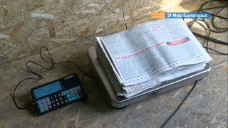Пункт приема вторсырья открыли в Бирюче