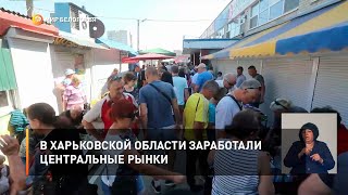 В Харьковской области заработали центральные рынки