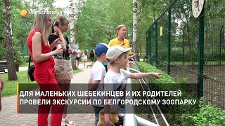 Для маленьких шебекинцев и их родителей провели экскурсии по Белгородскому зоопарку