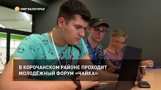 В Корочанском районе проходит молодёжный форум «Чайка»