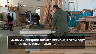 Малый и средний бизнес региона в этом году прирос на 25 тысяч работников