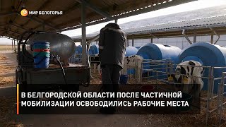 В Белгородской области после частичной мобилизации освободились рабочие места