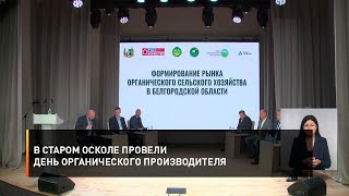 В Старом Осколе провели День органического производителя